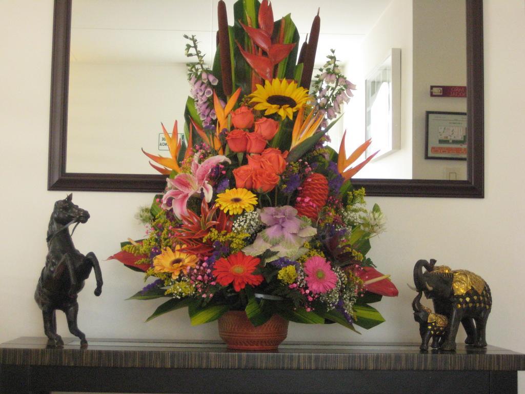 Hotel Casa Santa Marta 波哥大 外观 照片